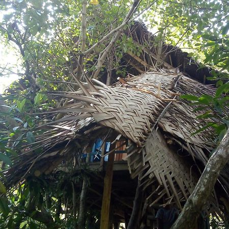Mermaid Cabana And Tree Houses Tangalle Eksteriør billede