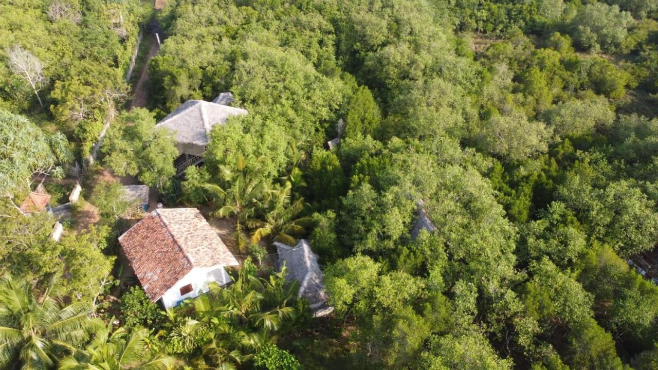 Mermaid Cabana And Tree Houses Tangalle Eksteriør billede