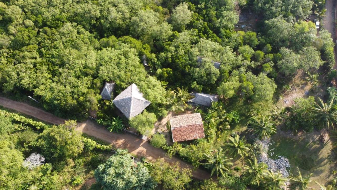 Mermaid Cabana And Tree Houses Tangalle Værelse billede