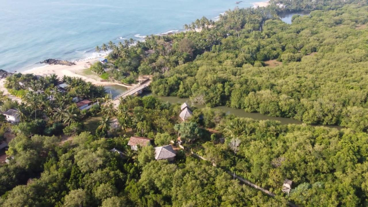Mermaid Cabana And Tree Houses Tangalle Eksteriør billede