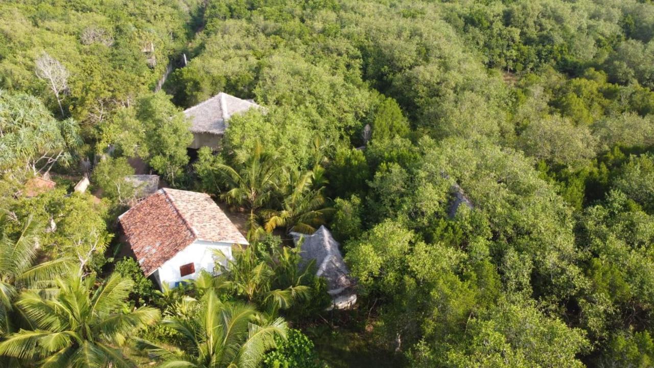 Mermaid Cabana And Tree Houses Tangalle Værelse billede