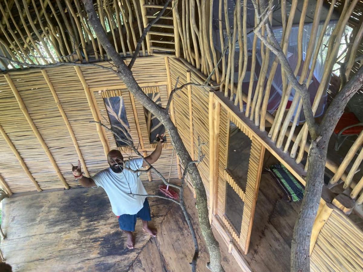 Mermaid Cabana And Tree Houses Tangalle Eksteriør billede