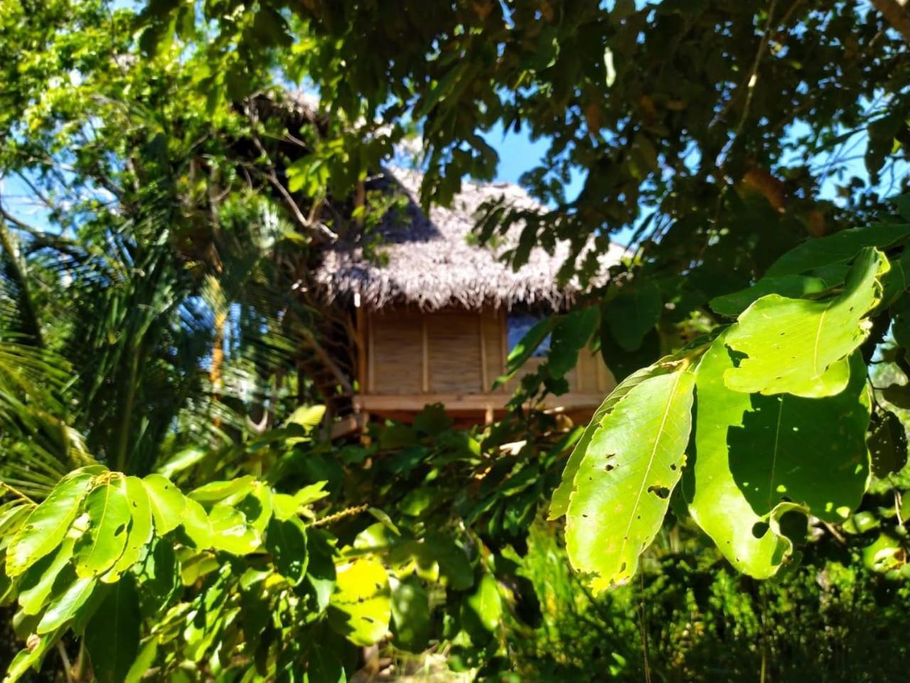 Mermaid Cabana And Tree Houses Tangalle Værelse billede