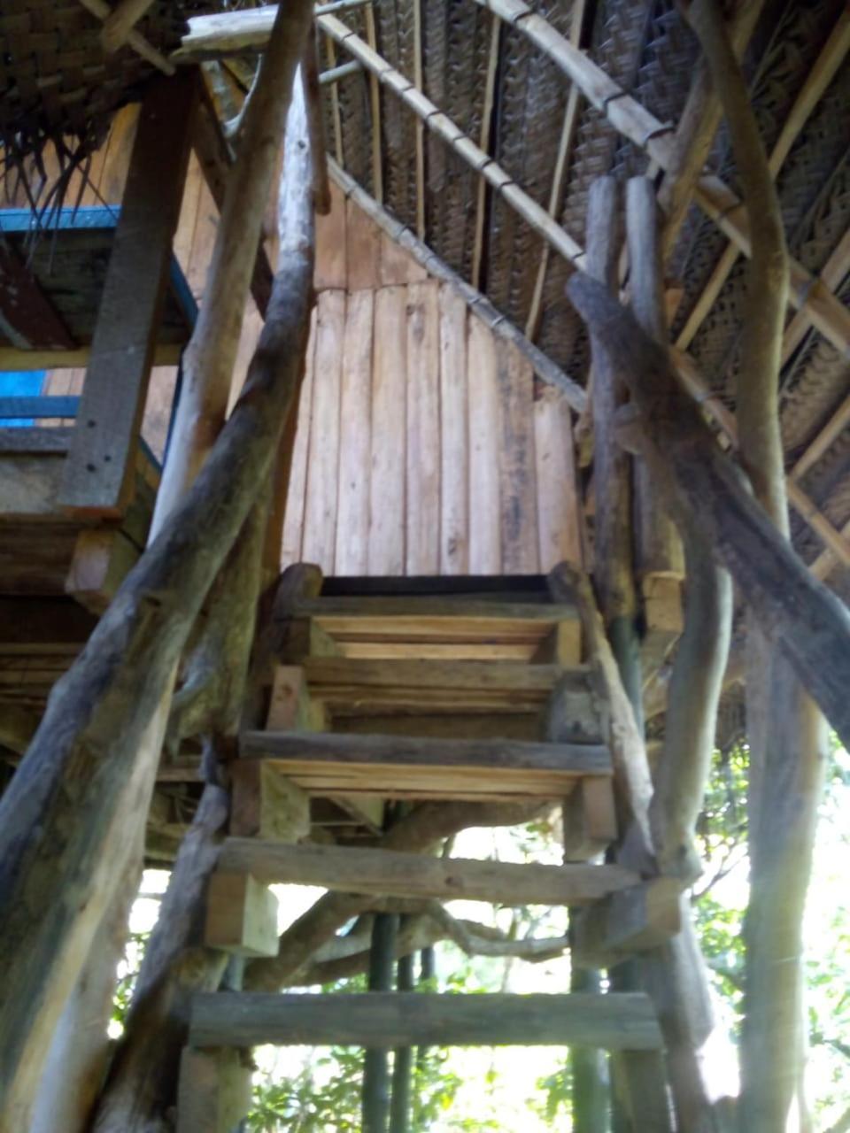 Mermaid Cabana And Tree Houses Tangalle Værelse billede