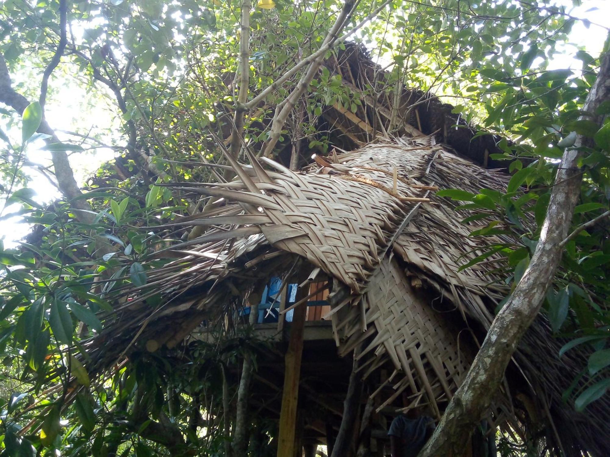 Mermaid Cabana And Tree Houses Tangalle Eksteriør billede