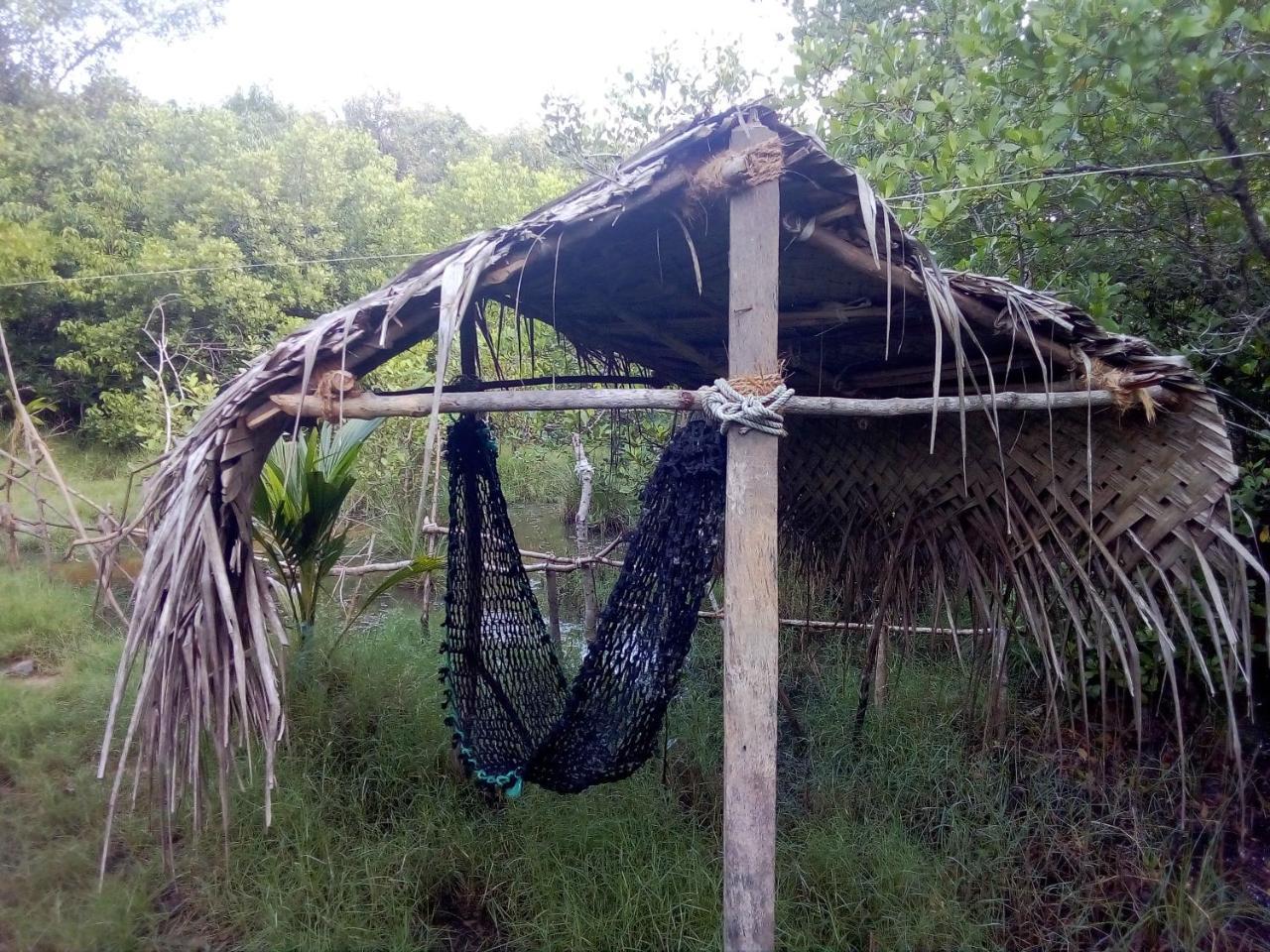 Mermaid Cabana And Tree Houses Tangalle Eksteriør billede