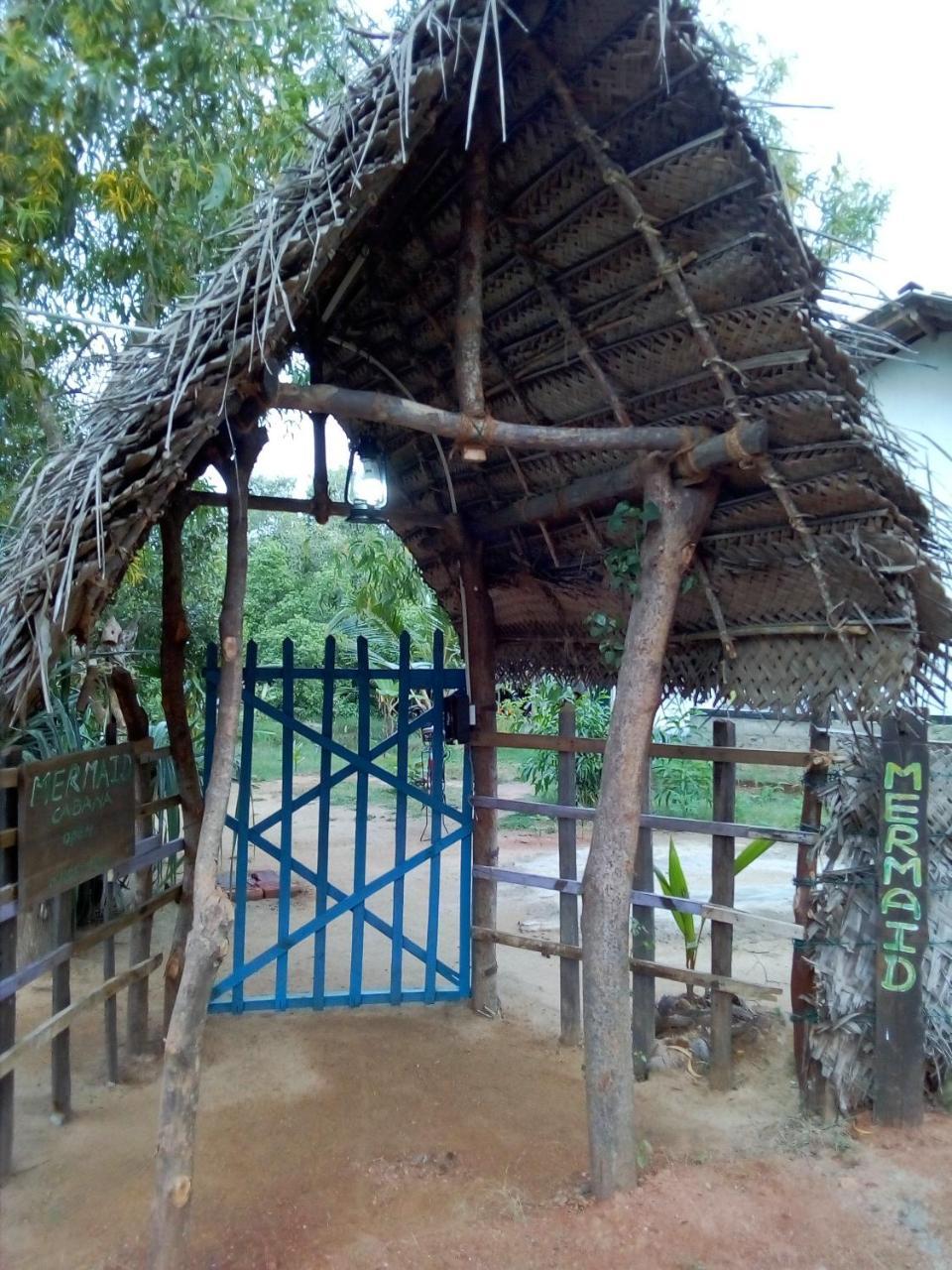 Mermaid Cabana And Tree Houses Tangalle Eksteriør billede