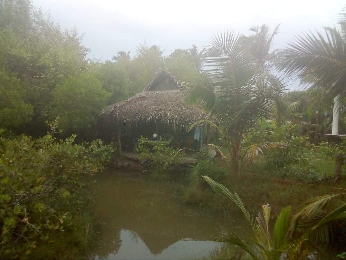Mermaid Cabana And Tree Houses Tangalle Eksteriør billede