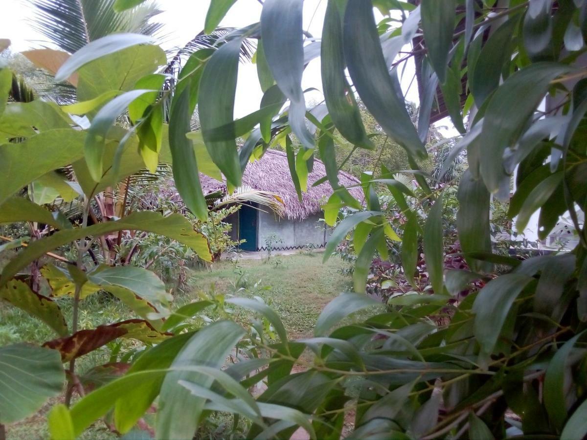 Mermaid Cabana And Tree Houses Tangalle Eksteriør billede