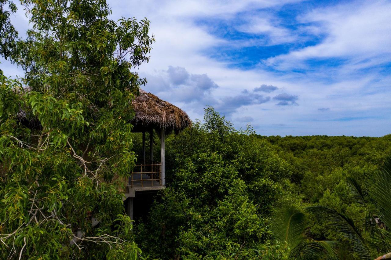Mermaid Cabana And Tree Houses Tangalle Eksteriør billede