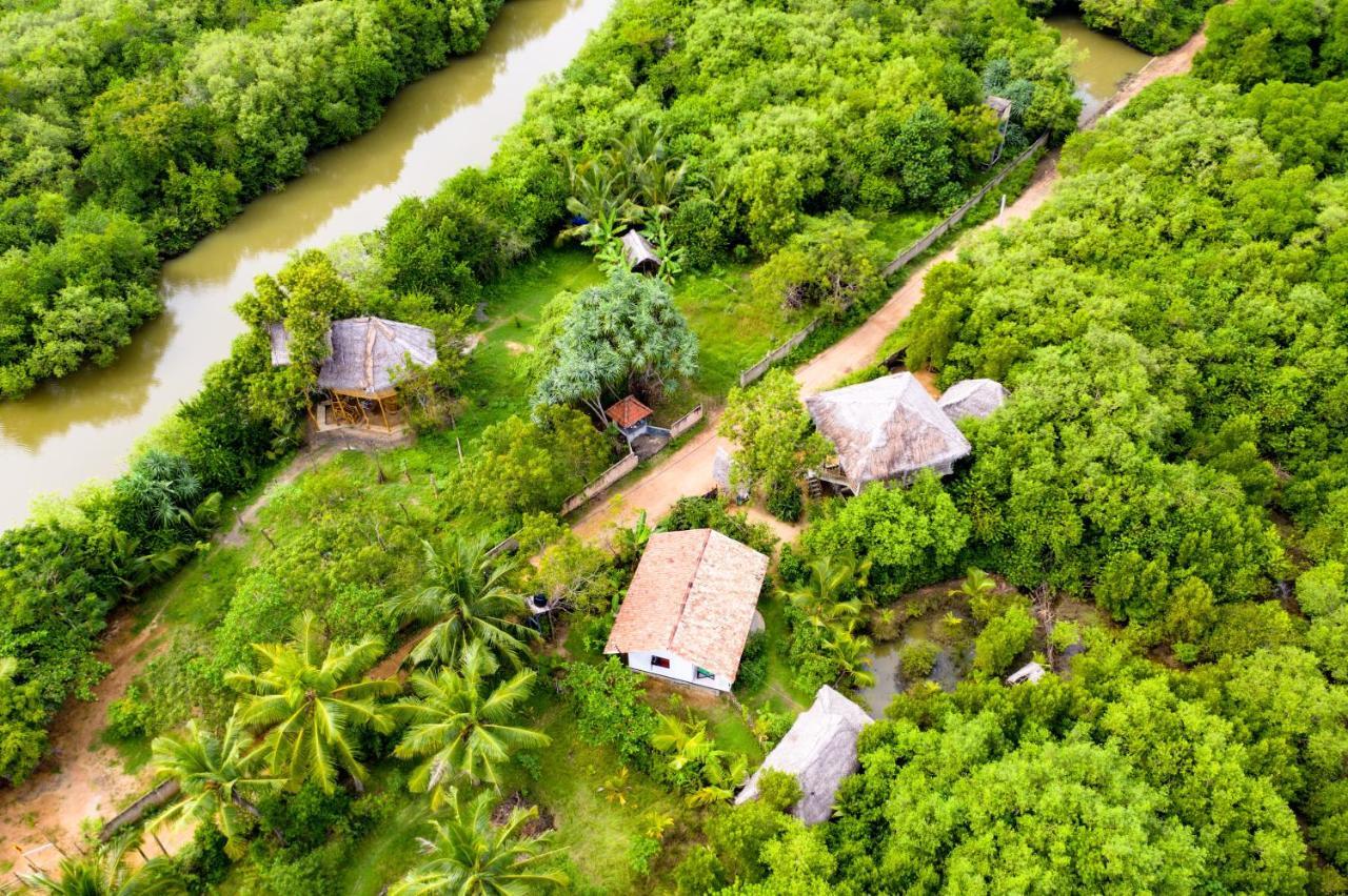 Mermaid Cabana And Tree Houses Tangalle Eksteriør billede