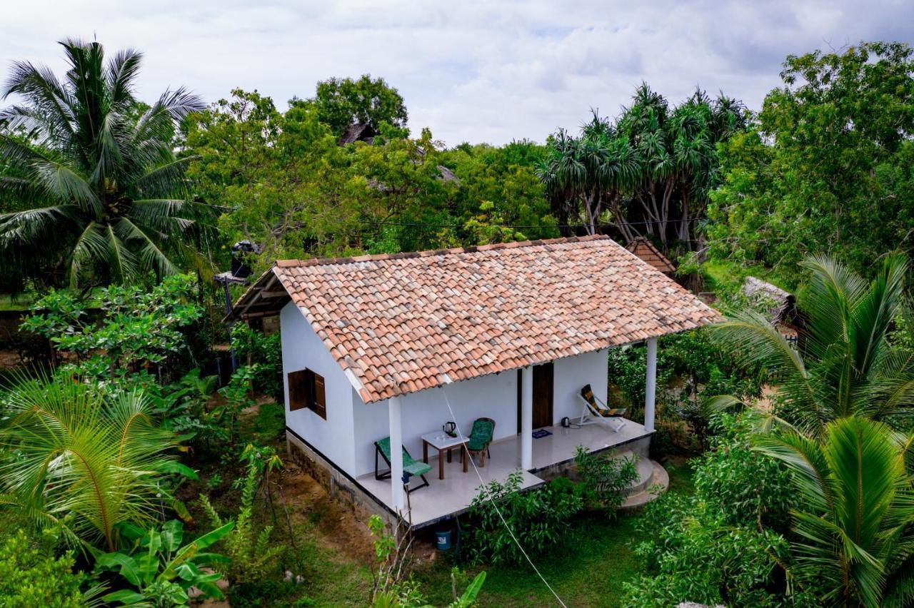 Mermaid Cabana And Tree Houses Tangalle Eksteriør billede