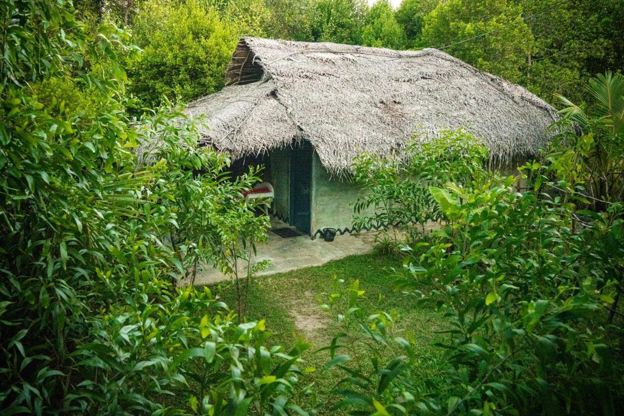 Mermaid Cabana And Tree Houses Tangalle Eksteriør billede