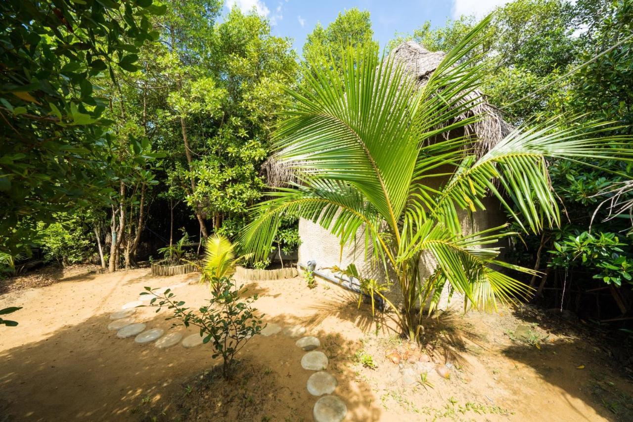 Mermaid Cabana And Tree Houses Tangalle Eksteriør billede